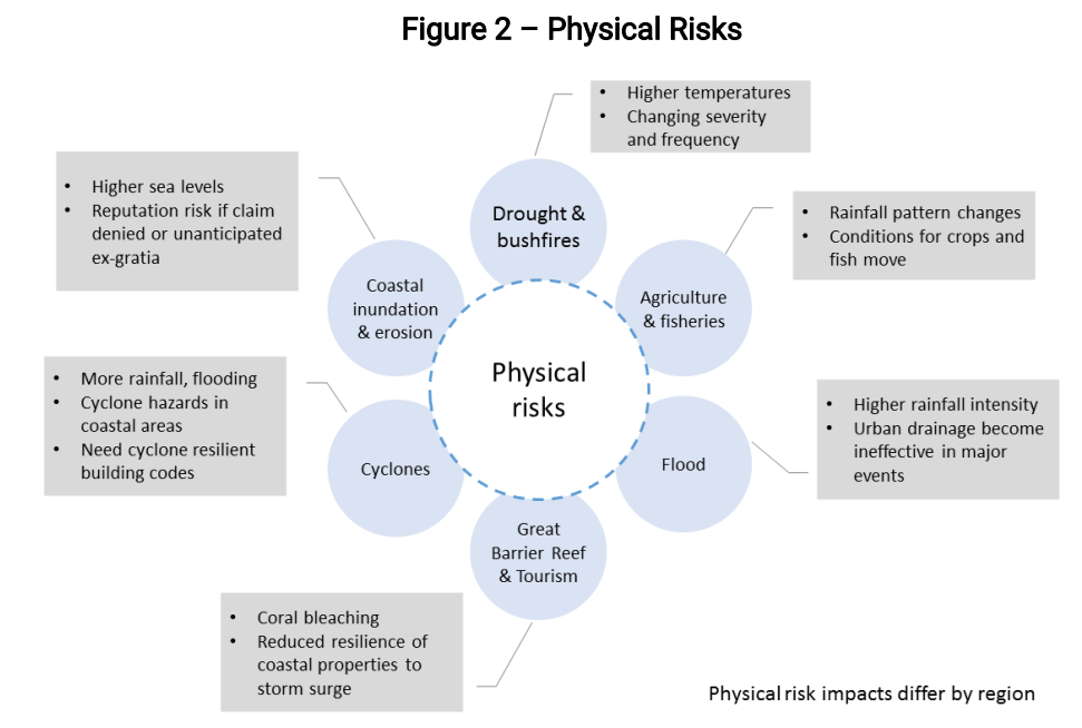 Phys Risk.png