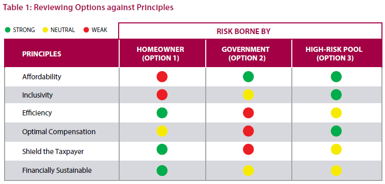 IBC.Flood2019 (050) evaluating options.png